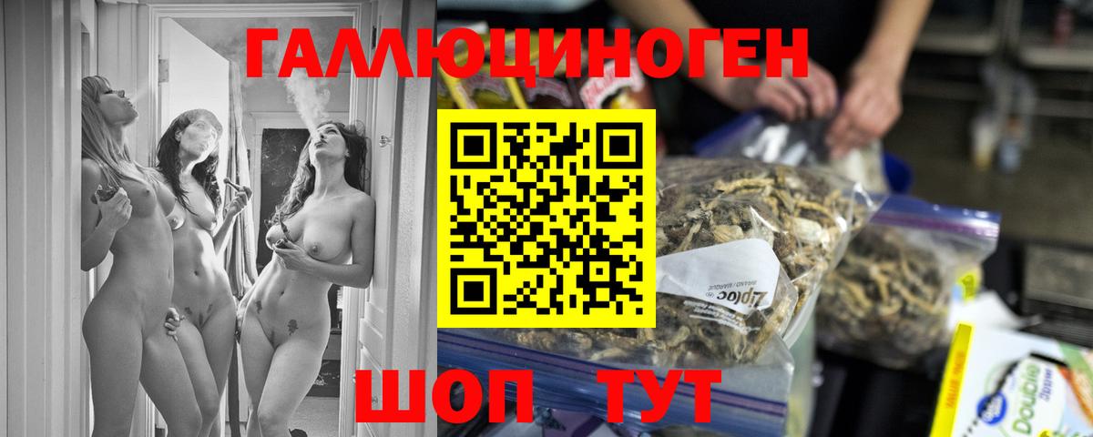 Галлюциногенные грибы GOLDEN TEACHER  Псилоцибиновые грибы Psilocybine cubensis  Вход с VPN  Туймазы 